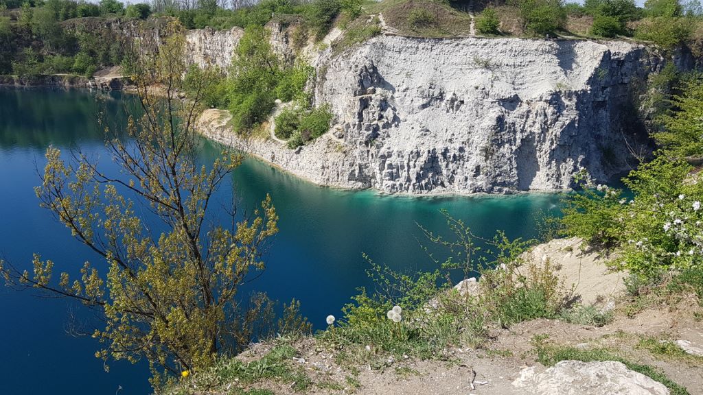 Boże Narodzenie - Choinka 1